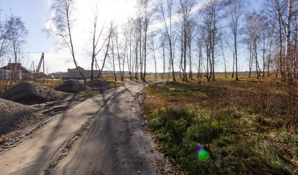 земля Криводановский сельсовет, Площадь Маркса, СНТ Рябинка фото 20