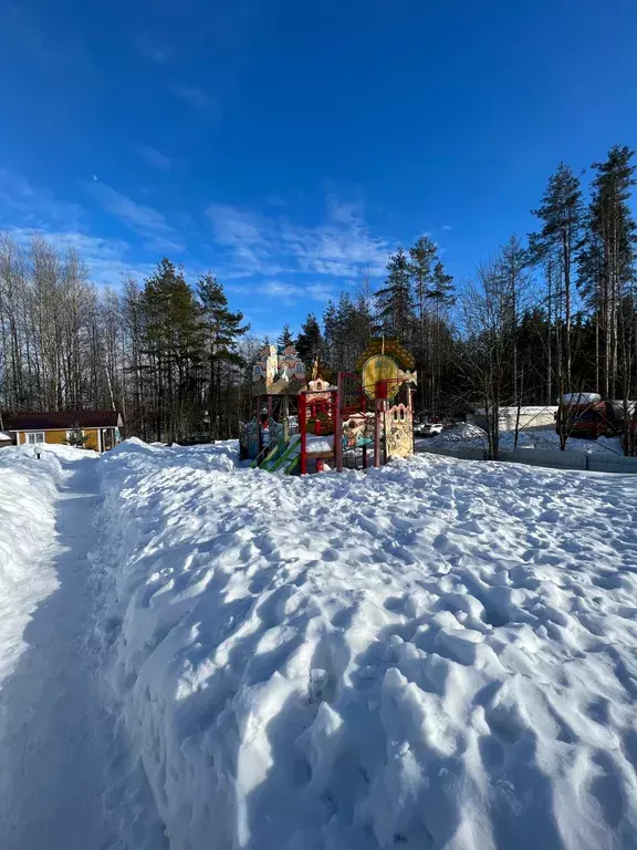 дом р-н Приозерский д Васильево ул Лыжная 55 Коробицыно фото 4