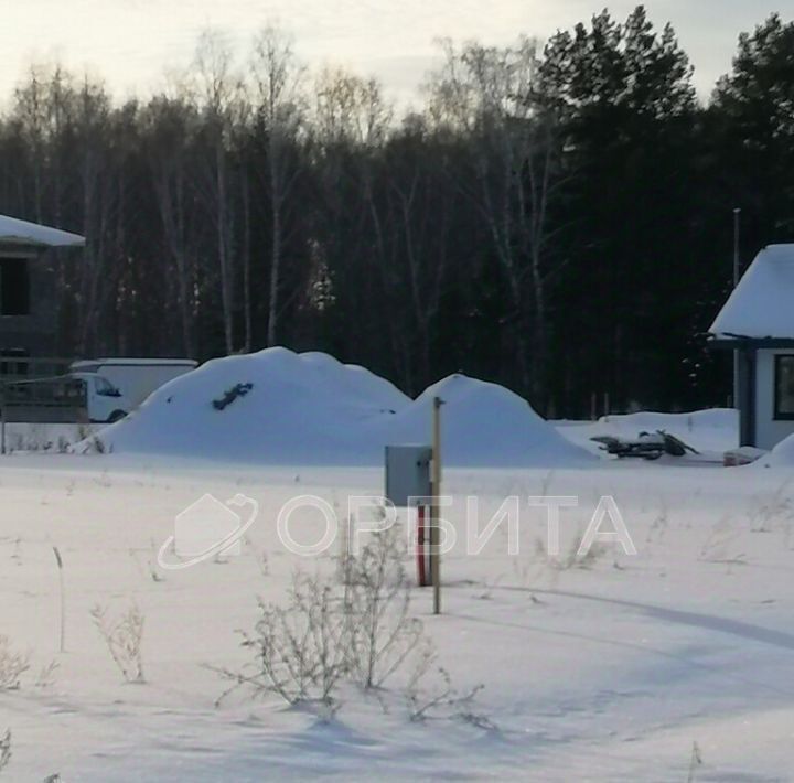 земля р-н Тюменский с Каменка фото 3