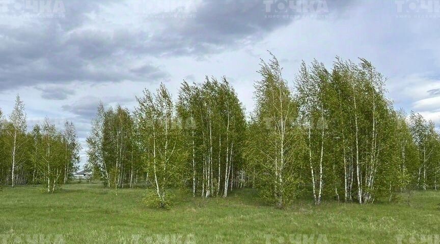 земля р-н Чебаркульский д Малково ул Восток-4 Травниковское с/пос фото 4