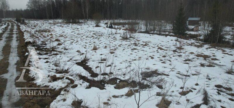 земля городской округ Клин д Щекино ул Дачная 25 фото 8