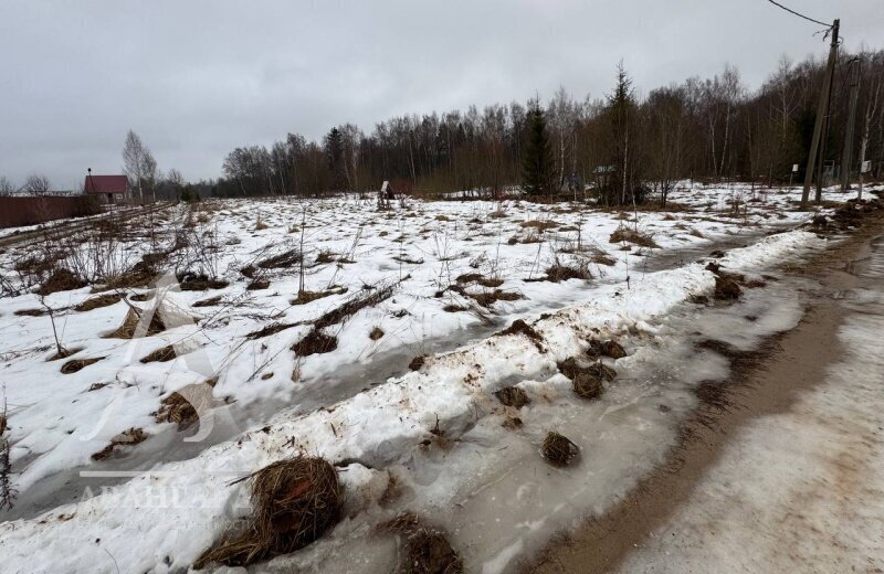 земля городской округ Клин д Щекино ул Дачная 25 фото 9