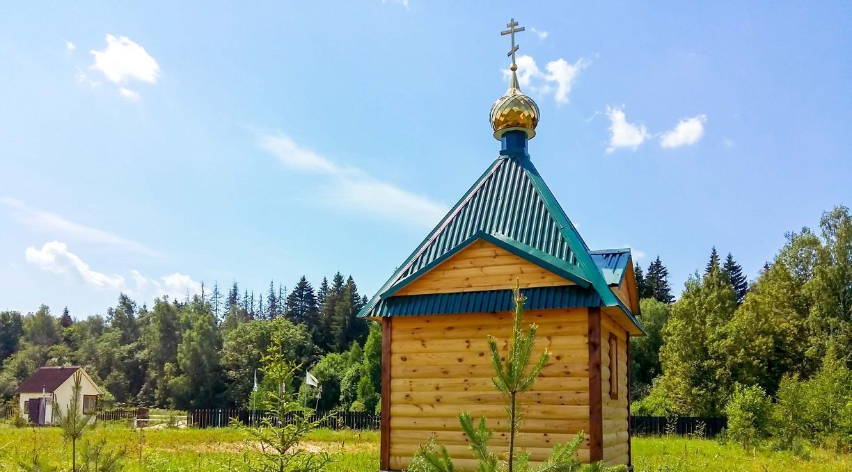 земля городской округ Можайский ДНП, 13, Полесье фото 10