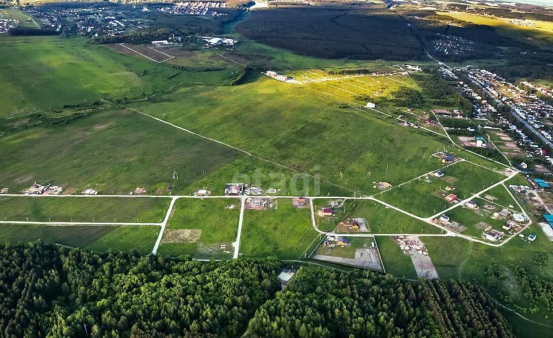 земля р-н Богородский д Березовка Богородск фото 4