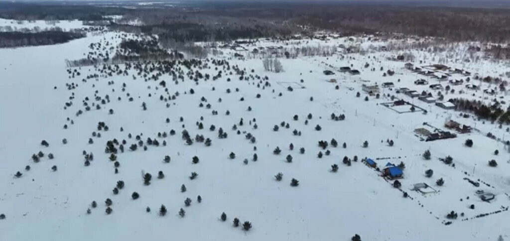 земля р-н Первомайский с Фирсово микрорайон Рощино ул Пушкина фото 3