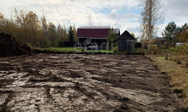 г Павловск снт Павловское-2 фото