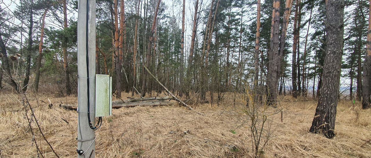 земля р-н Перемышльский с Корекозево сельское поселение Корекозево, Калуга фото 7