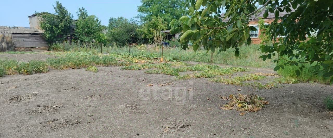 земля р-н Ейский ст-ца Камышеватская ул Школьная Камышеватское сельское поселение фото 6