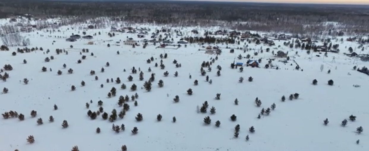 земля р-н Первомайский с Фирсово микрорайон Рощино ул Пушкина фото 8