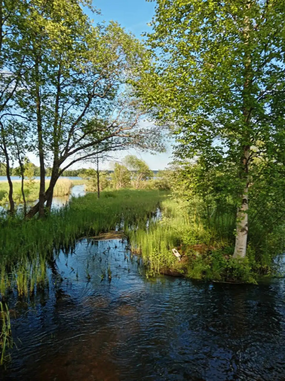 дом р-н Медвежьегорский д Кажма Шуньгское, д. 33 фото 10