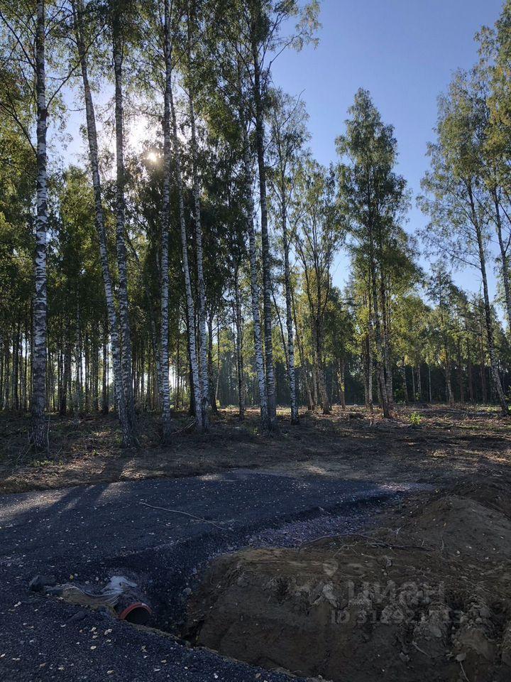 земля г Санкт-Петербург ул Веры Слуцкой Сертоловское городское поселение, Ленинградская область, Всеволожский район фото 28