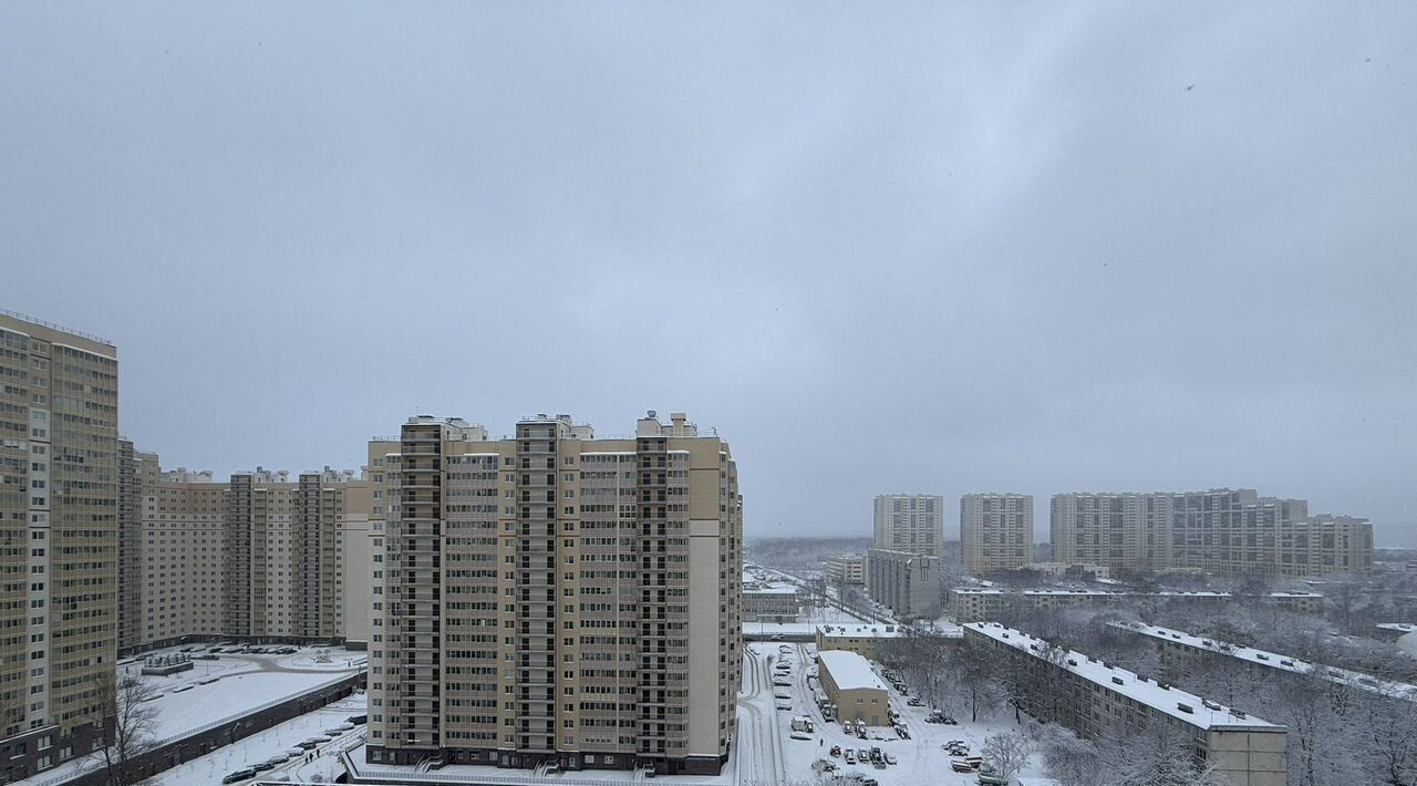 квартира г Санкт-Петербург метро Пролетарская ул Ново-Александровская 14 фото 9