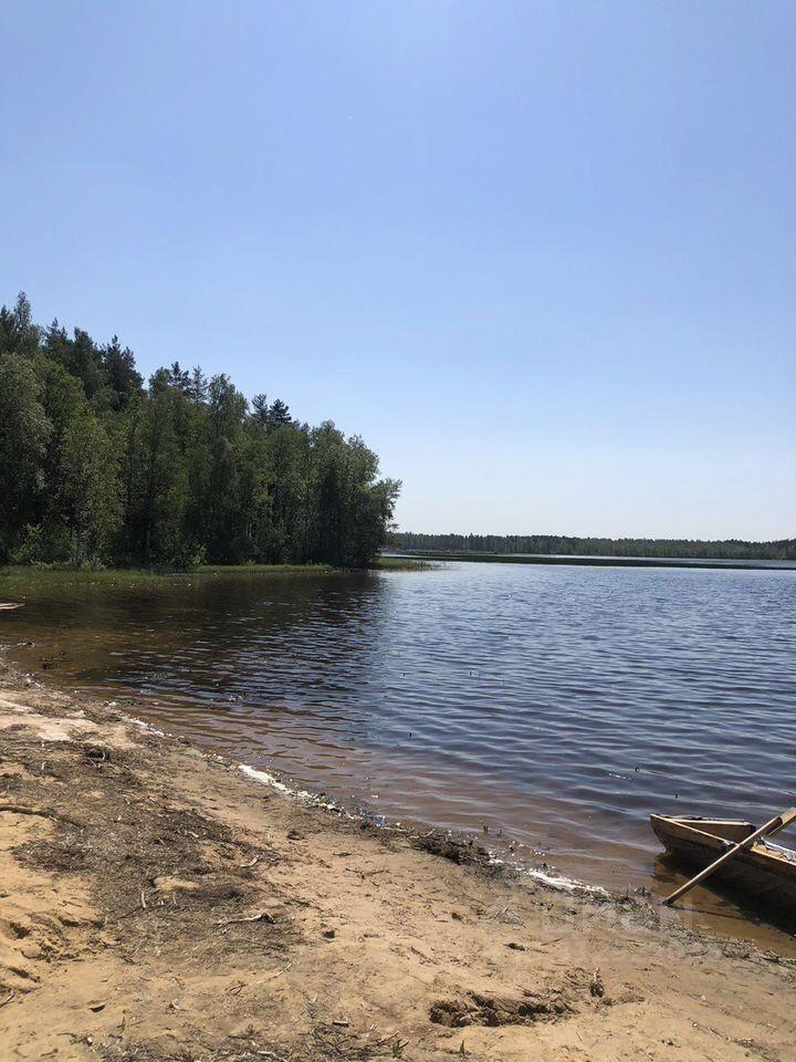 земля р-н Всеволожский Токсовское городское поселение, Экофорест кп фото 5