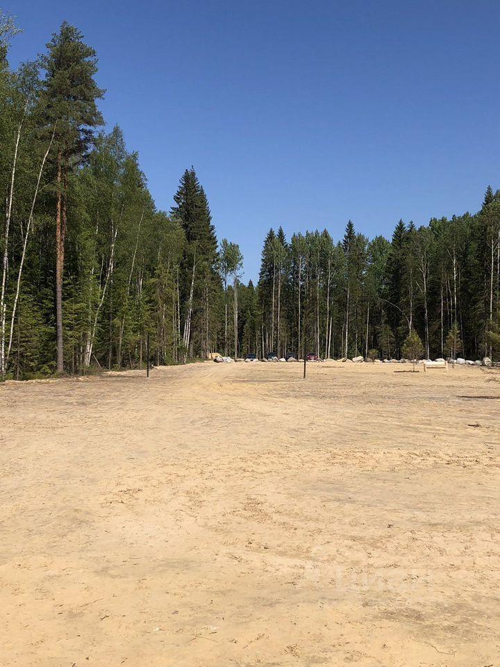 земля р-н Всеволожский Токсовское городское поселение, Экофорест кп фото 6