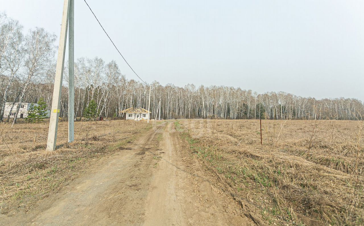 земля г Бердск Бердское шоссе, мкр-н Раздольный фото 4