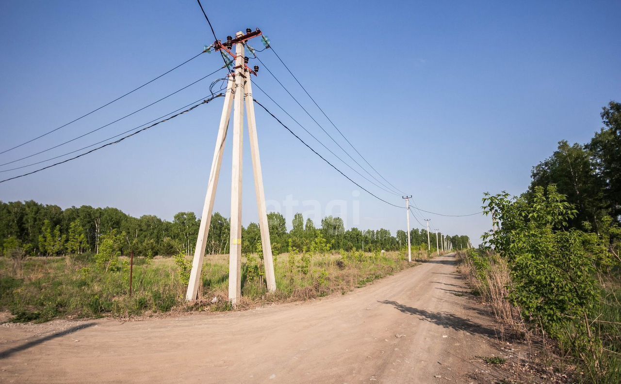 земля г Бердск Бердское шоссе, мкр-н Раздольный фото 11