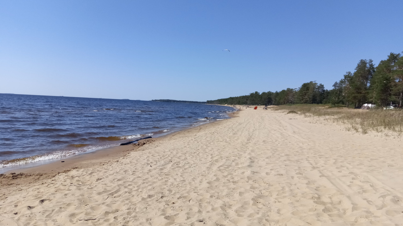 земля р-н Пудожский п Шальский ул Онежская фото 1