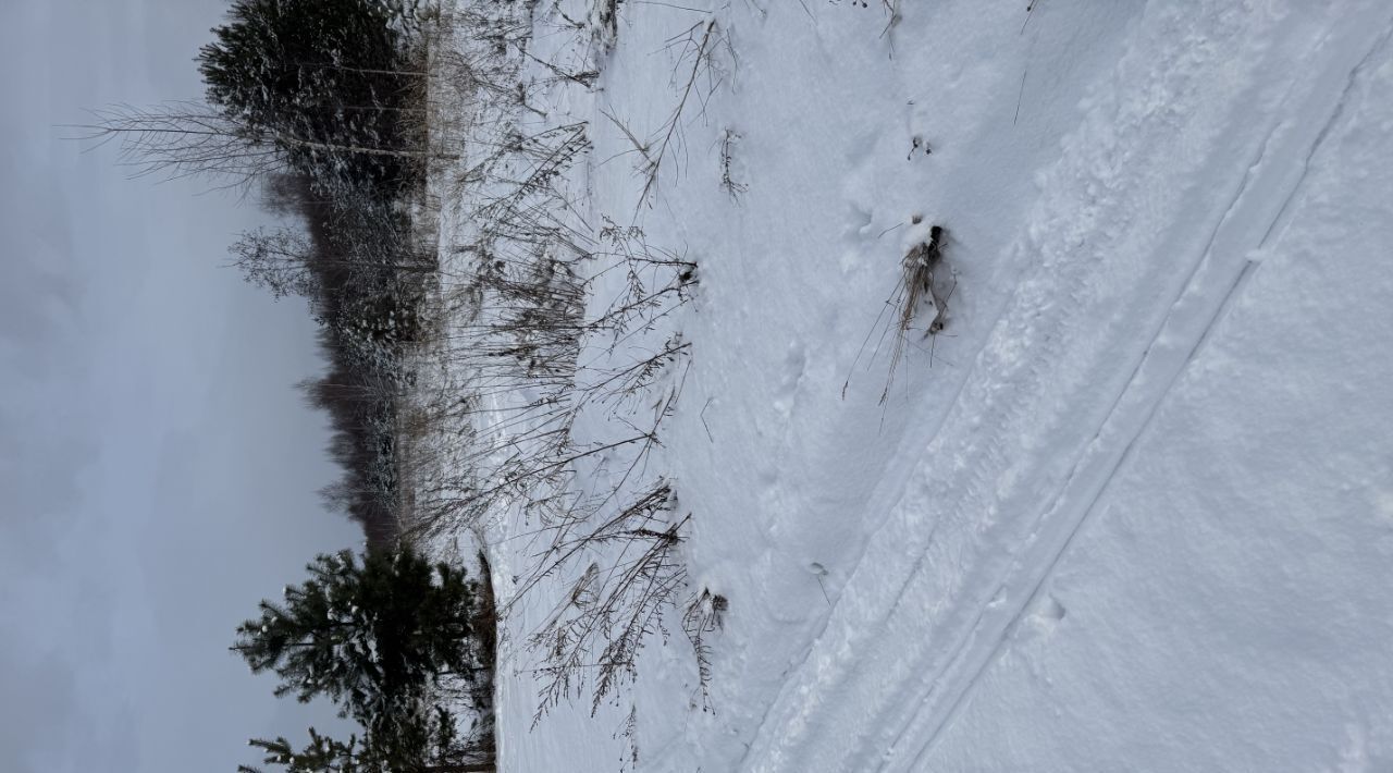 земля городской округ Сергиево-Посадский д Селково фото 4