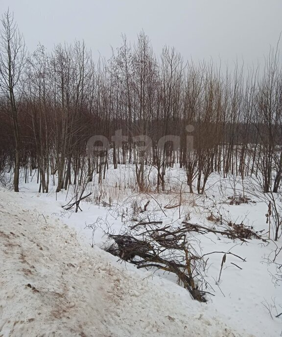 земля р-н Вологодский п Грибково фото 2