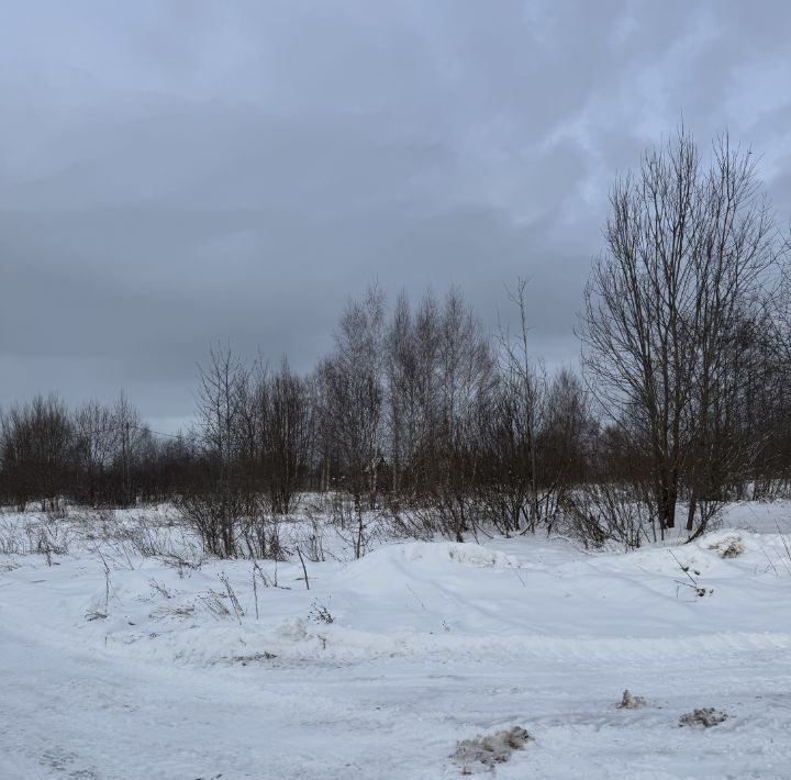 земля городской округ Сергиево-Посадский д Селково фото 16