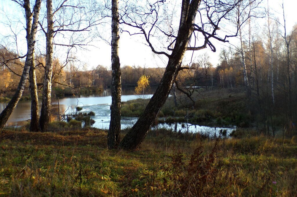 земля городской округ Ступино п Михнево фото 2