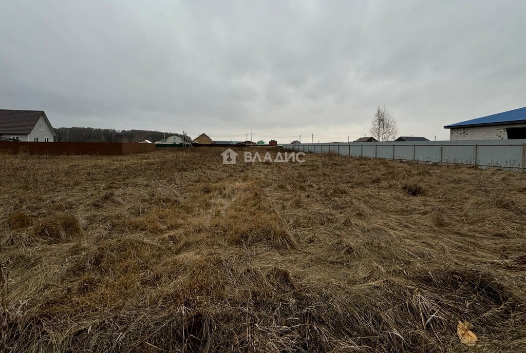 земля городской округ Зарайск д Мендюкино ул Луговая 19 фото 1