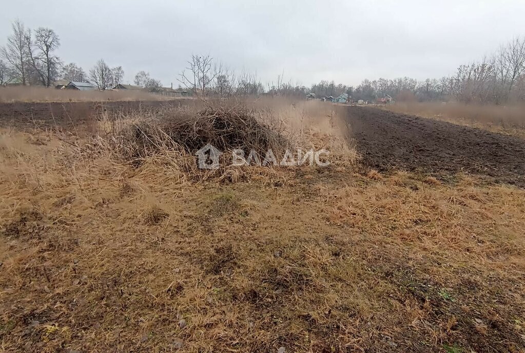 земля городской округ Луховицы д Астапово фото 1