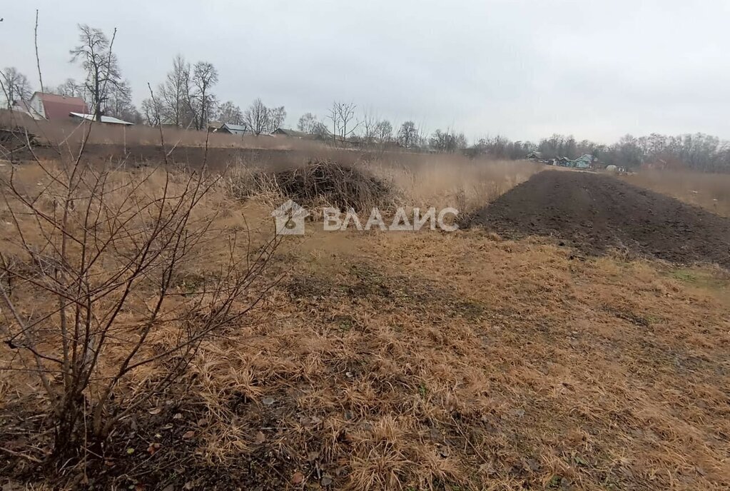 земля городской округ Луховицы д Астапово фото 2