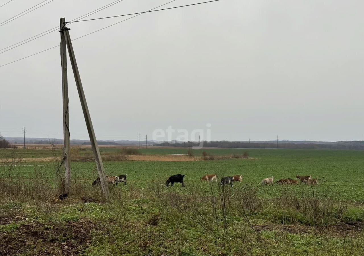 дом р-н Гурьевский п Ушаково Новомосковское сельское поселение, ул. Мелиораторов, 3, Калининград фото 17