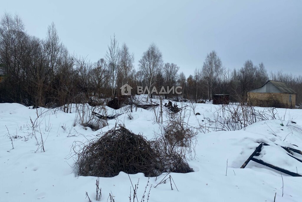 земля р-н Бессоновский с Бессоновка ул Карьер фото 4