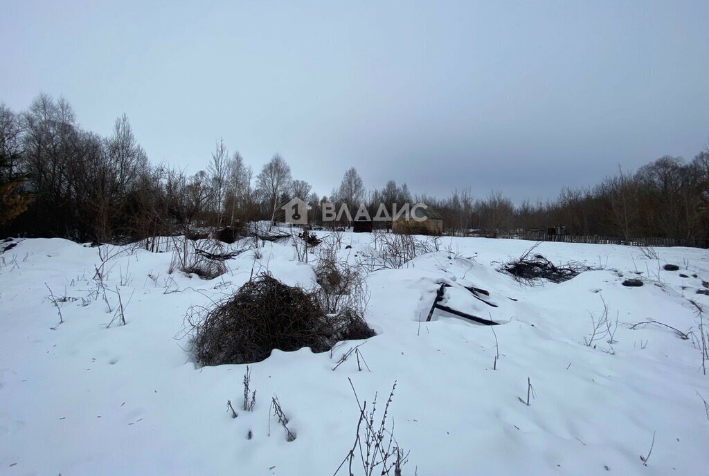 земля р-н Бессоновский с Бессоновка ул Карьер фото 2