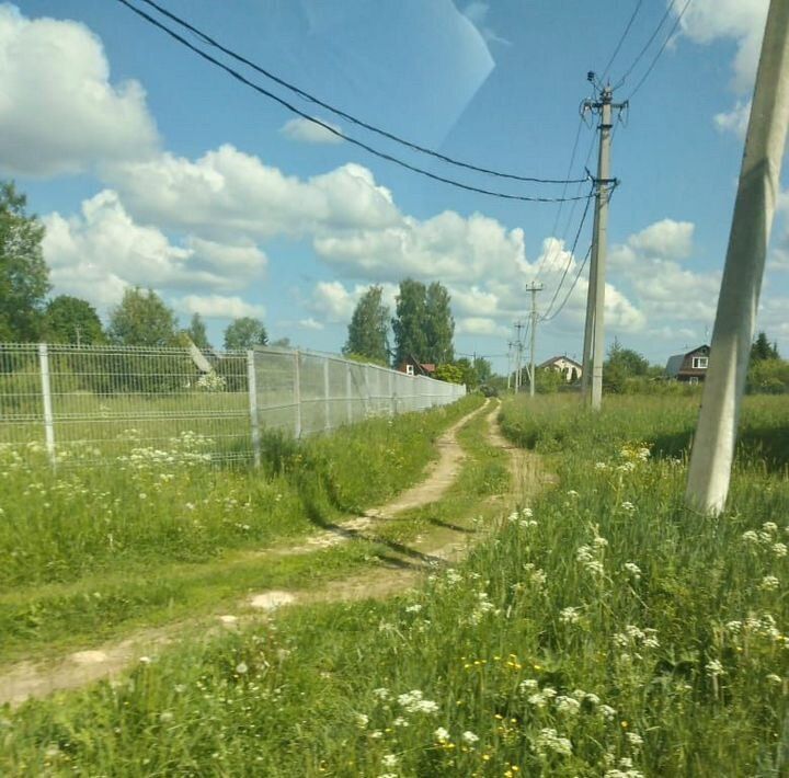 земля р-н Лужский д Заорешье ул Центральная Толмачевское городское поселение фото 11