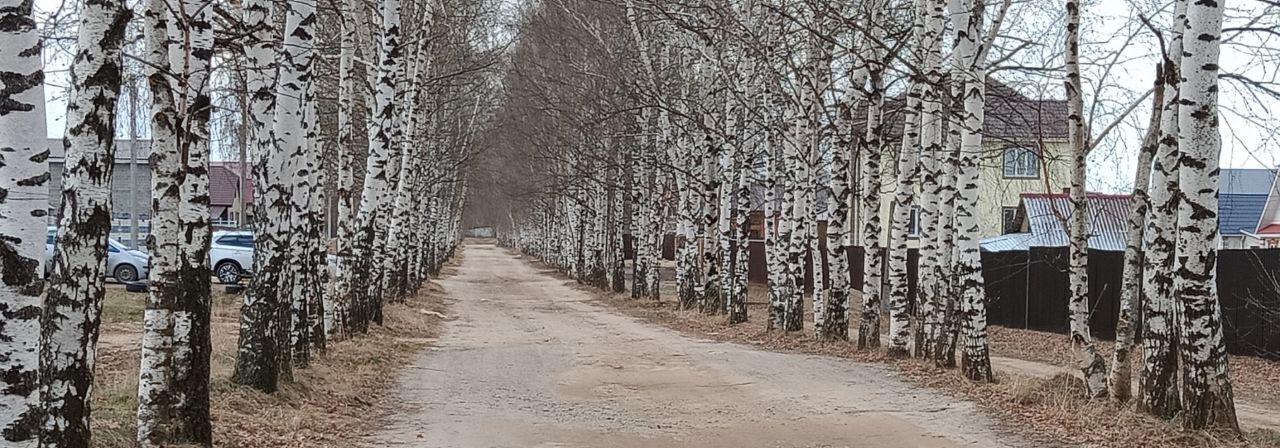 земля р-н Кстовский с Шелокша ул Березовая фото 1