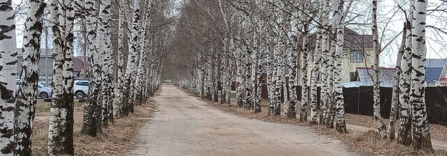 земля с Шелокша ул Березовая фото