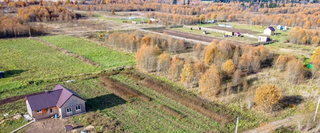 земля р-н Волосовский д Большая Вруда ул Абрикосовая фото 4