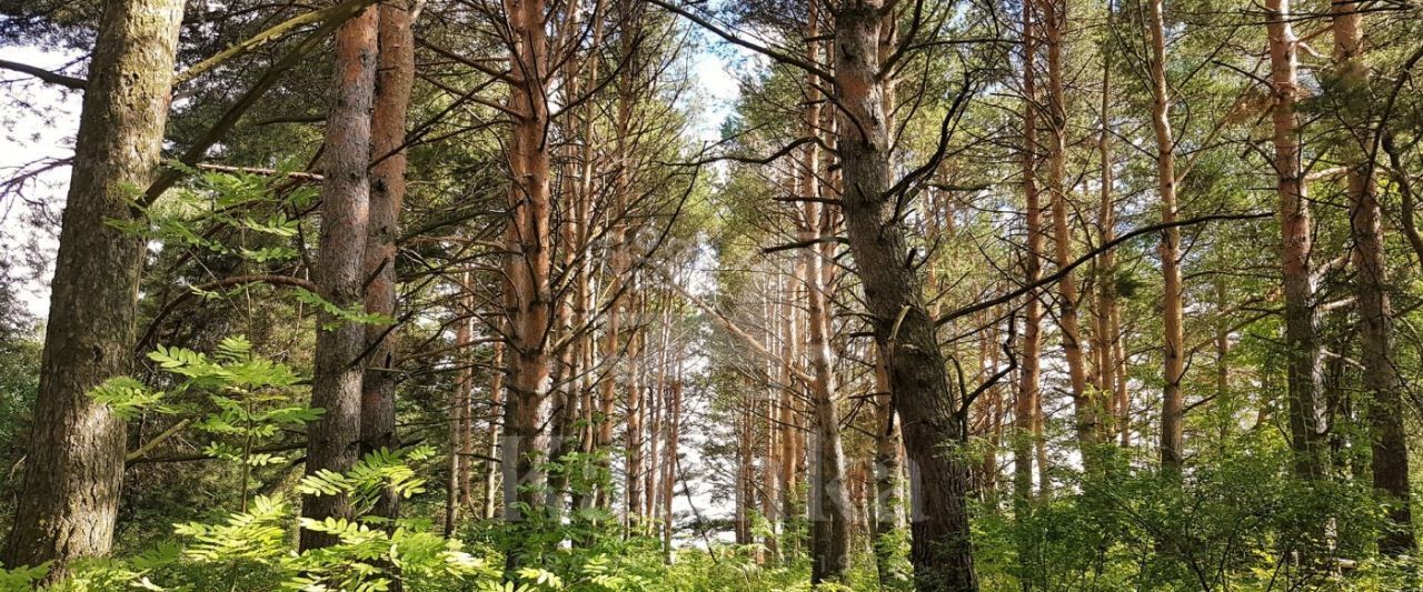 земля городской округ Одинцовский п Николина Гора Одинцово фото 1