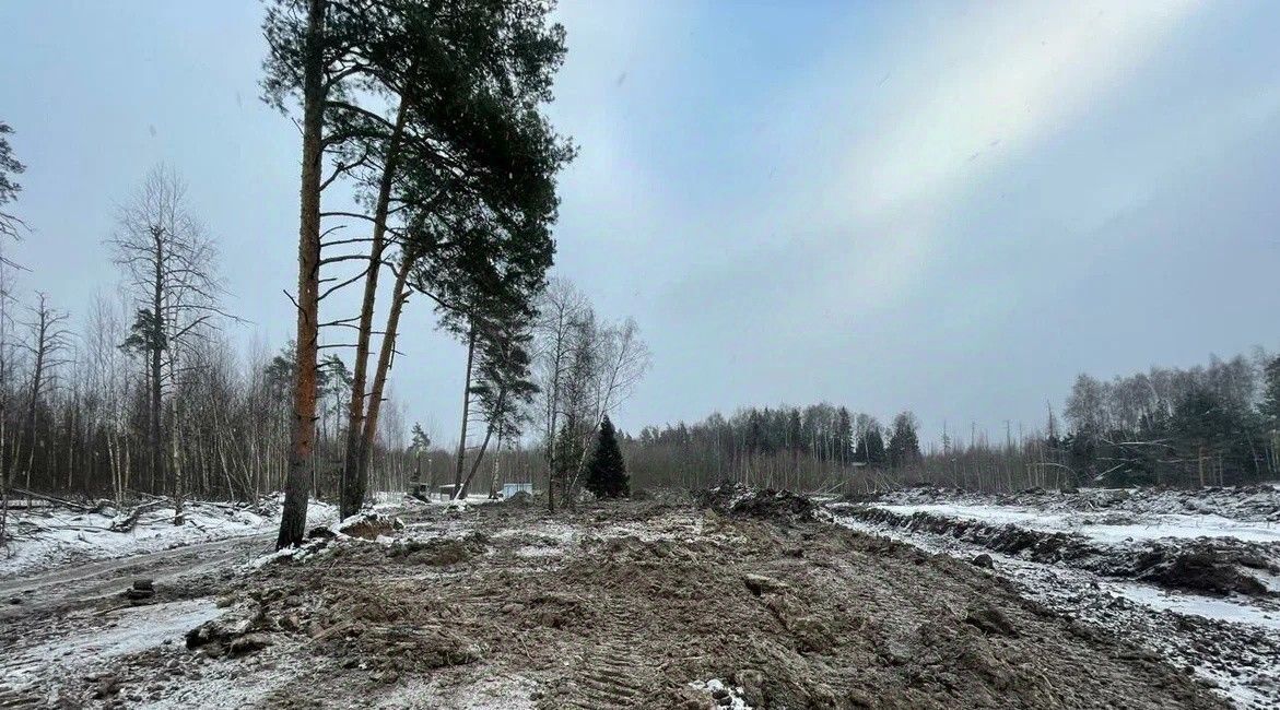 дом городской округ Богородский Щемиловские усадьбы кп, Железнодорожная фото 3