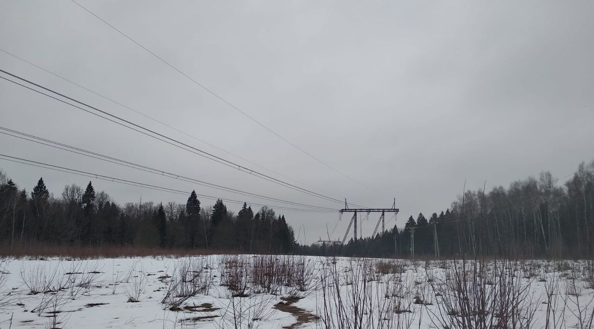 земля городской округ Мытищи д Фелисово Хлебниково фото 11