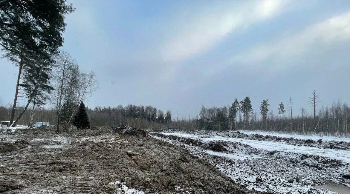 дом городской округ Богородский Щемиловские усадьбы кп, Железнодорожная фото 10