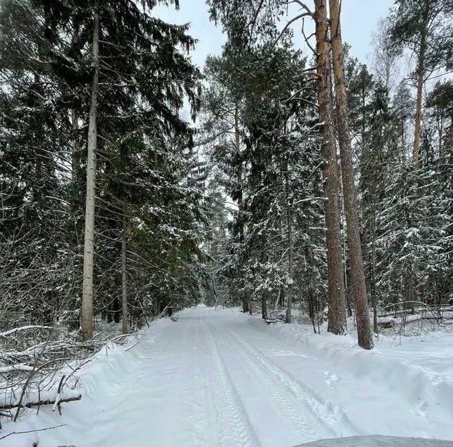 дом городской округ Богородский Щемиловские усадьбы кп, Железнодорожная фото 13