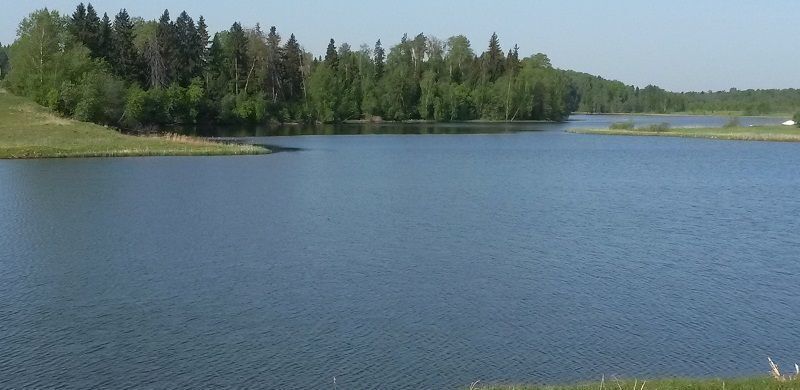 земля городской округ Волоколамский д Клишино ул Центральная 98 км, Волоколамск, Новорижское шоссе фото 2