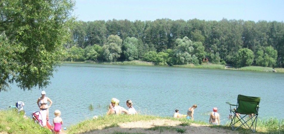 дом городской округ Солнечногорск д Новая фото 5