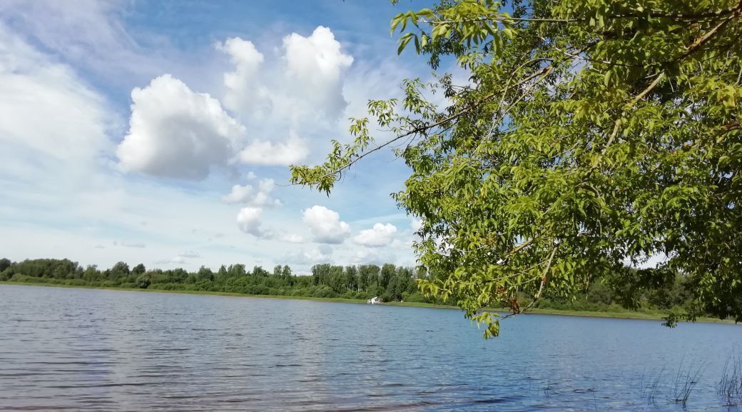 дом городской округ Солнечногорск д Новая фото 7