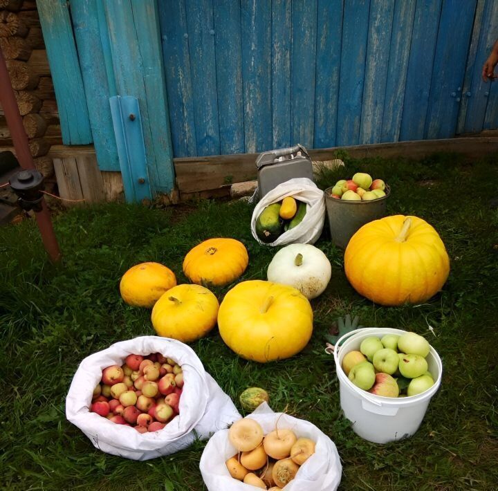 дом р-н Вятскополянский с Новый Бурец ул Нижняя фото 5