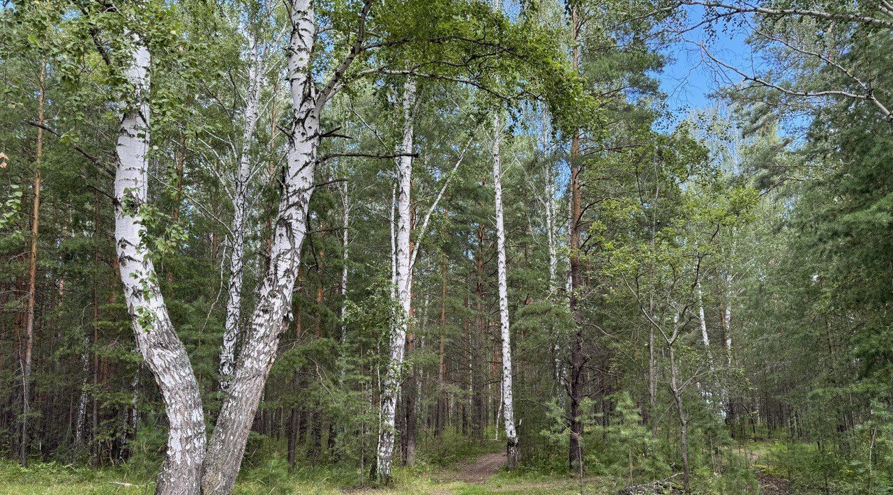 земля р-н Сысертский с Кадниково ул Рубиновая Бажовские места кп фото 19