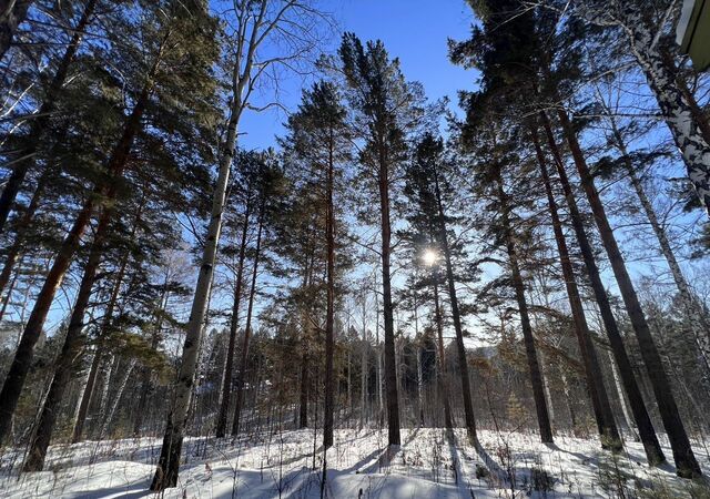 п Звездочка ул Сплавная Ангарск фото