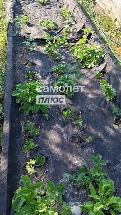 дом п Жатай садово-огородническое некоммерческое товарищество Жаворонок, Тальниковая улица, 123 фото 12