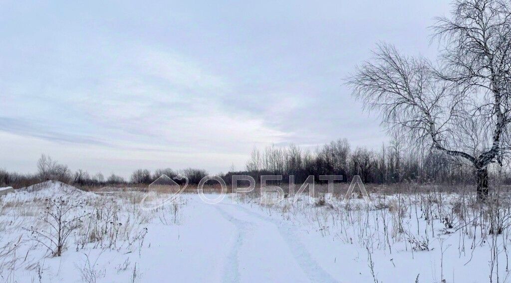 земля г Тюмень р-н Центральный снт Царево ул Грибная фото 6