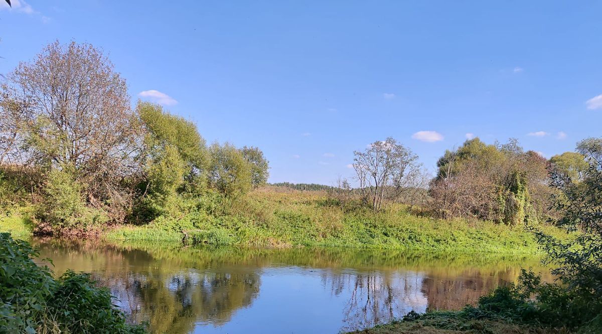 дом городской округ Истра д Борзые Нахабино фото 13