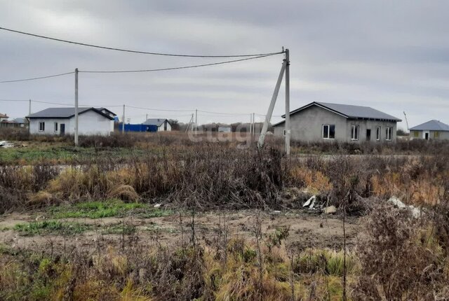 Зеленоградский муниципальный округ фото